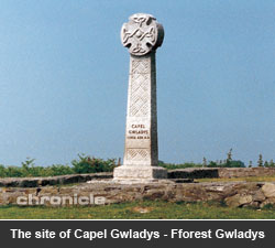 The site of Capel Gwladys, Fforest Gwladys