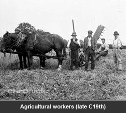 Agricultural workers (late C19th)
