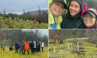 Over 120 volunteers planted trees at Wyllie Woodlands and Park Cwm Darran